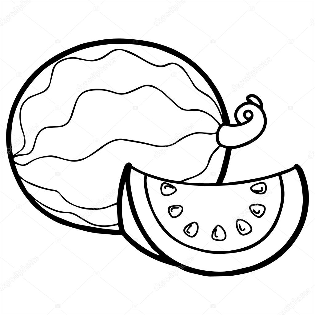 Watermelon Line Drawing | Free download on ClipArtMag