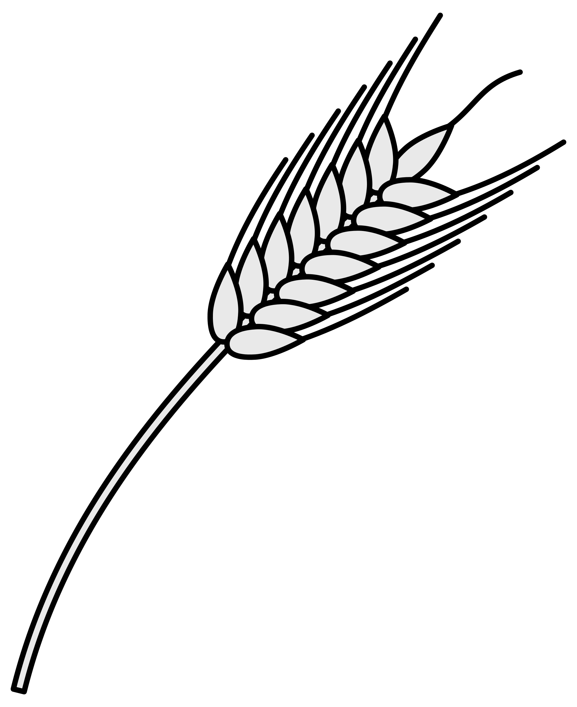 Wheat Line Drawing Free download on ClipArtMag