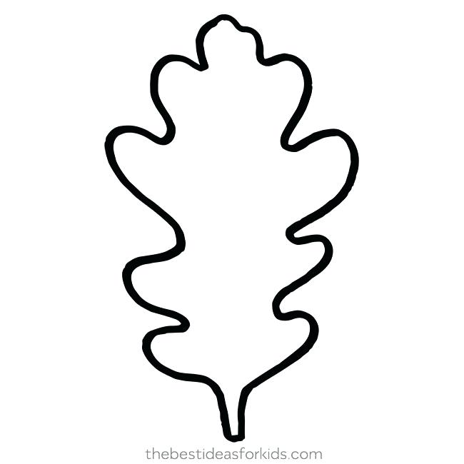 White Oak Leaf Drawing Free Download On ClipArtMag