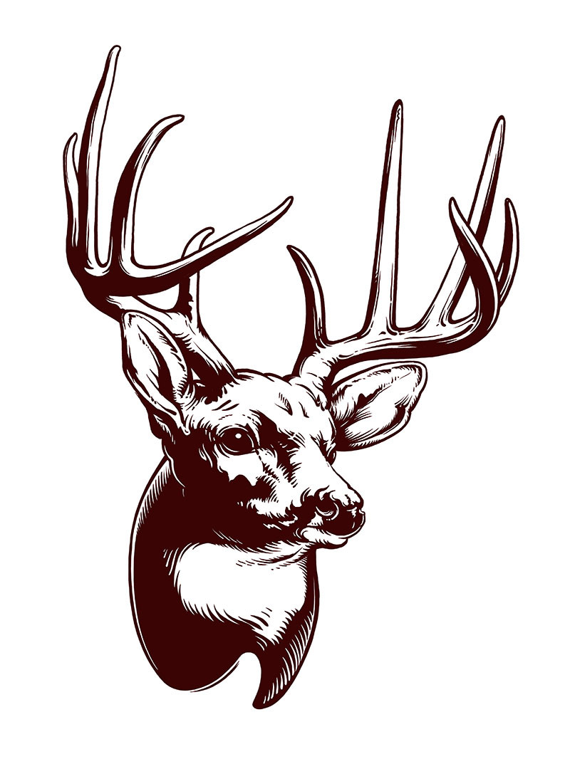 Whitetail Buck Drawing Free download on ClipArtMag