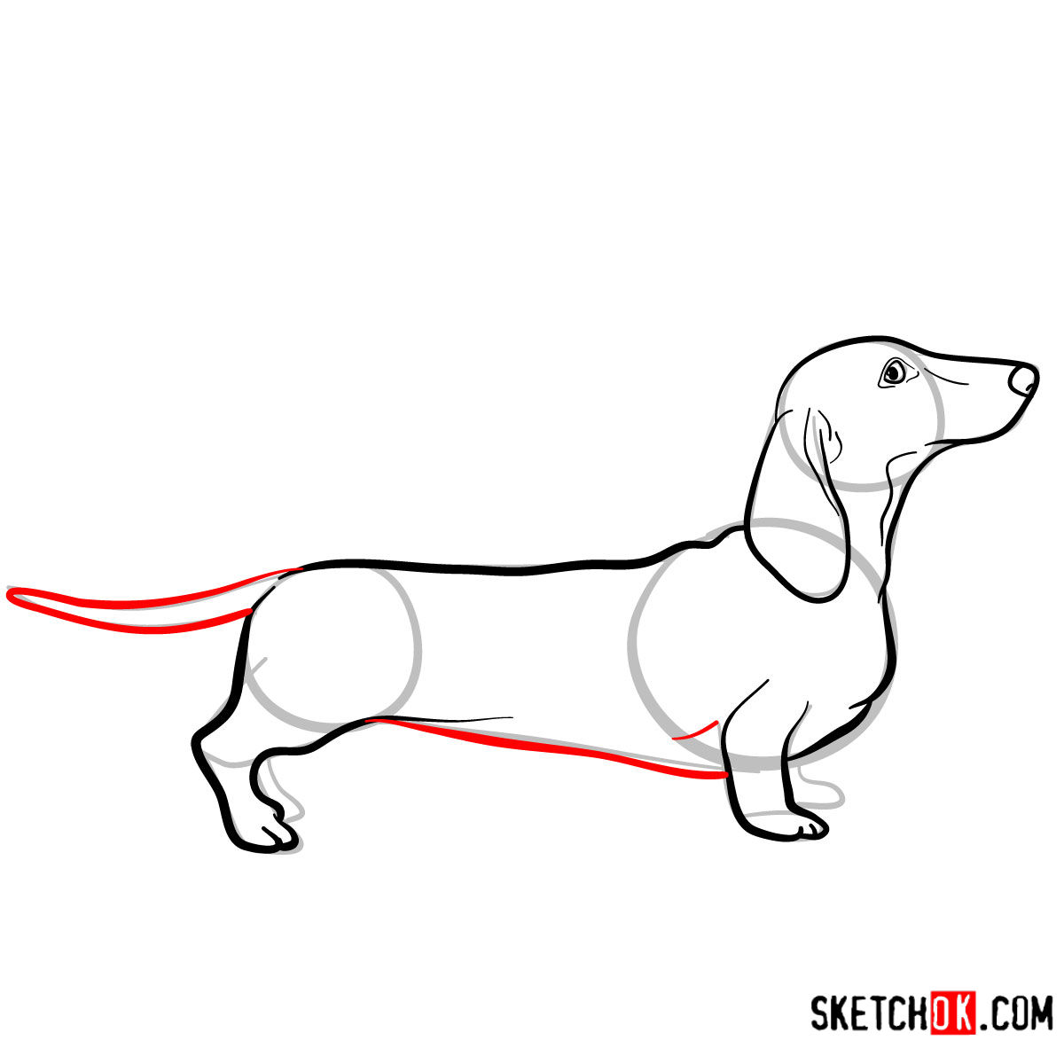 Wiener Dog Drawing | Free download on ClipArtMag