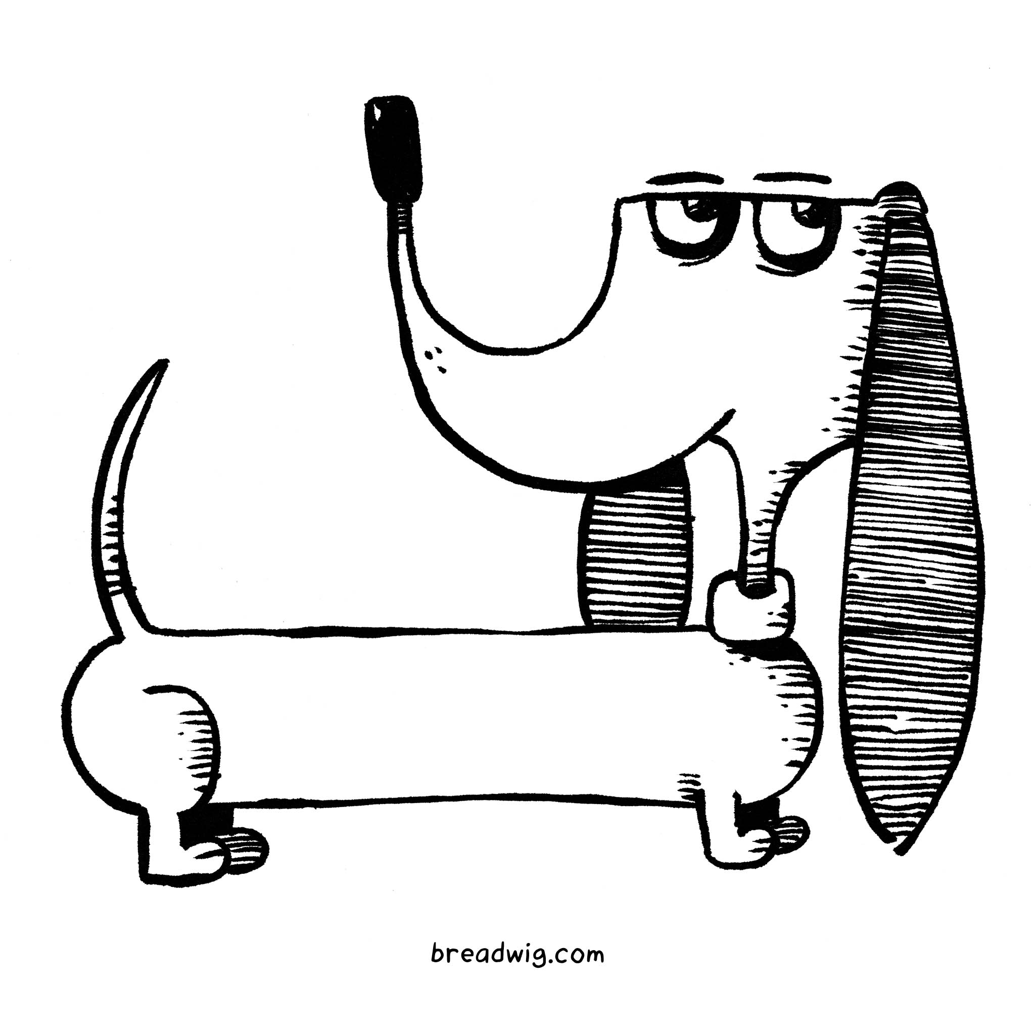 Wiener Dog Drawing Free download on ClipArtMag