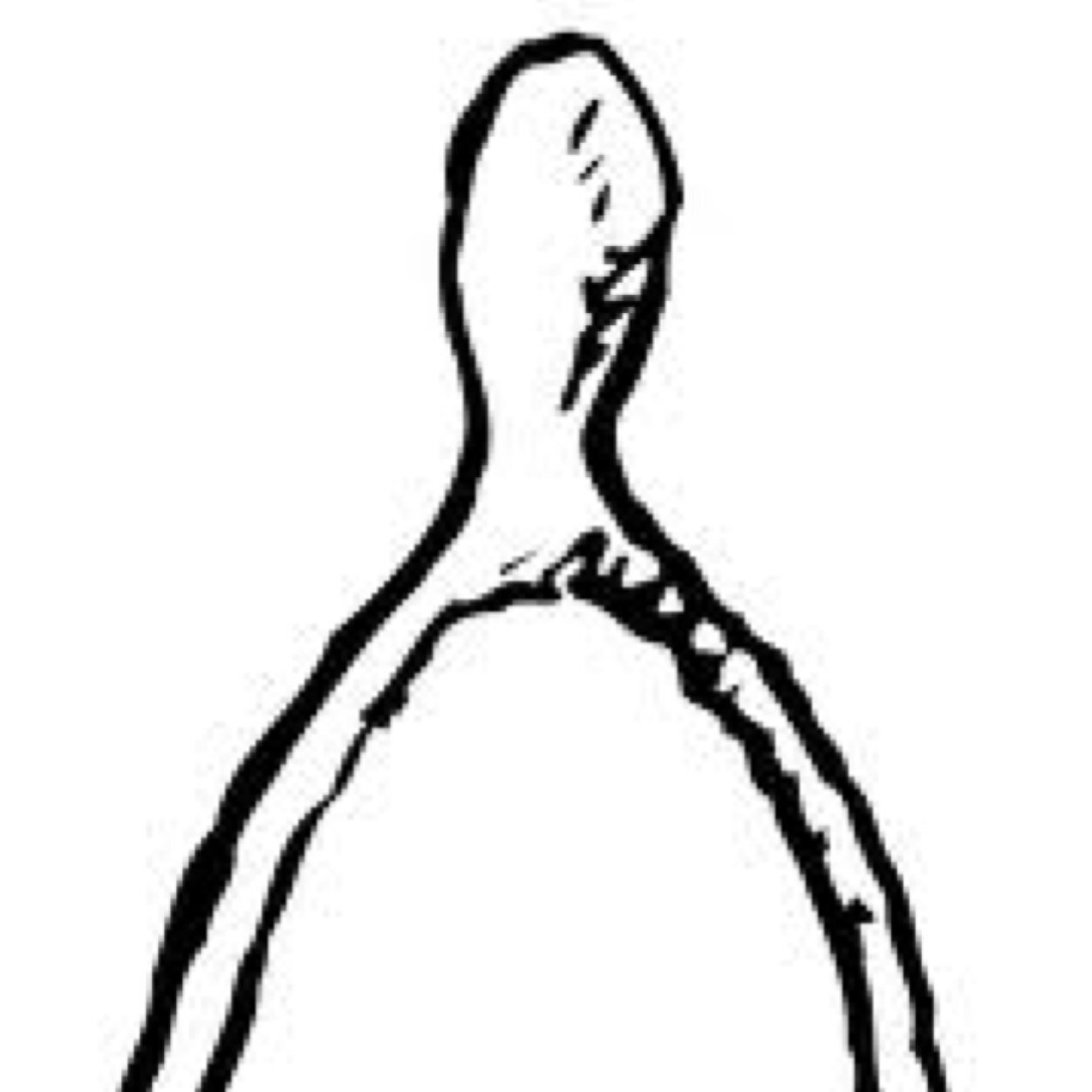 Wishbone Drawing Free download on ClipArtMag