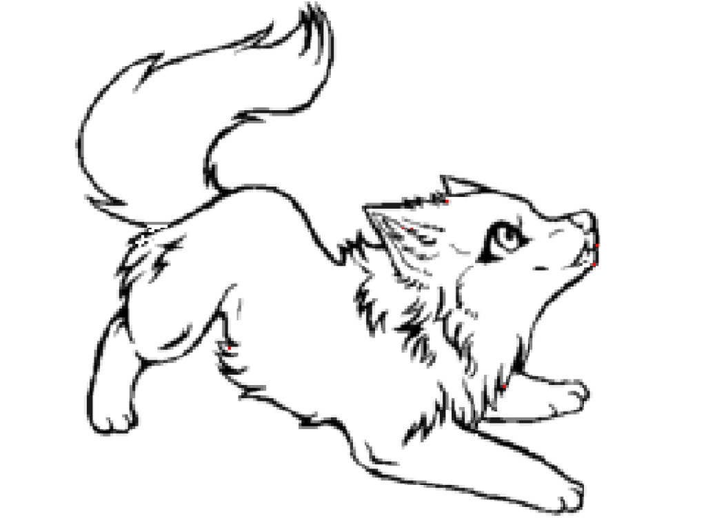 Featured image of post Sketch Wolf Images Drawings / 1280 x 720 jpeg 30 kb.