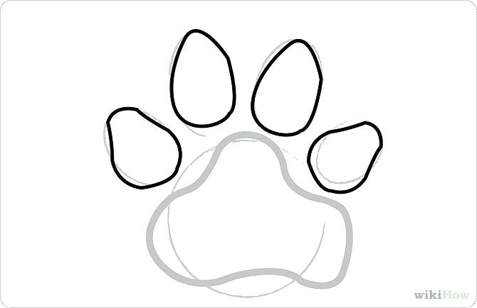 Collection of Paw print clipart | Free download best Paw print clipart