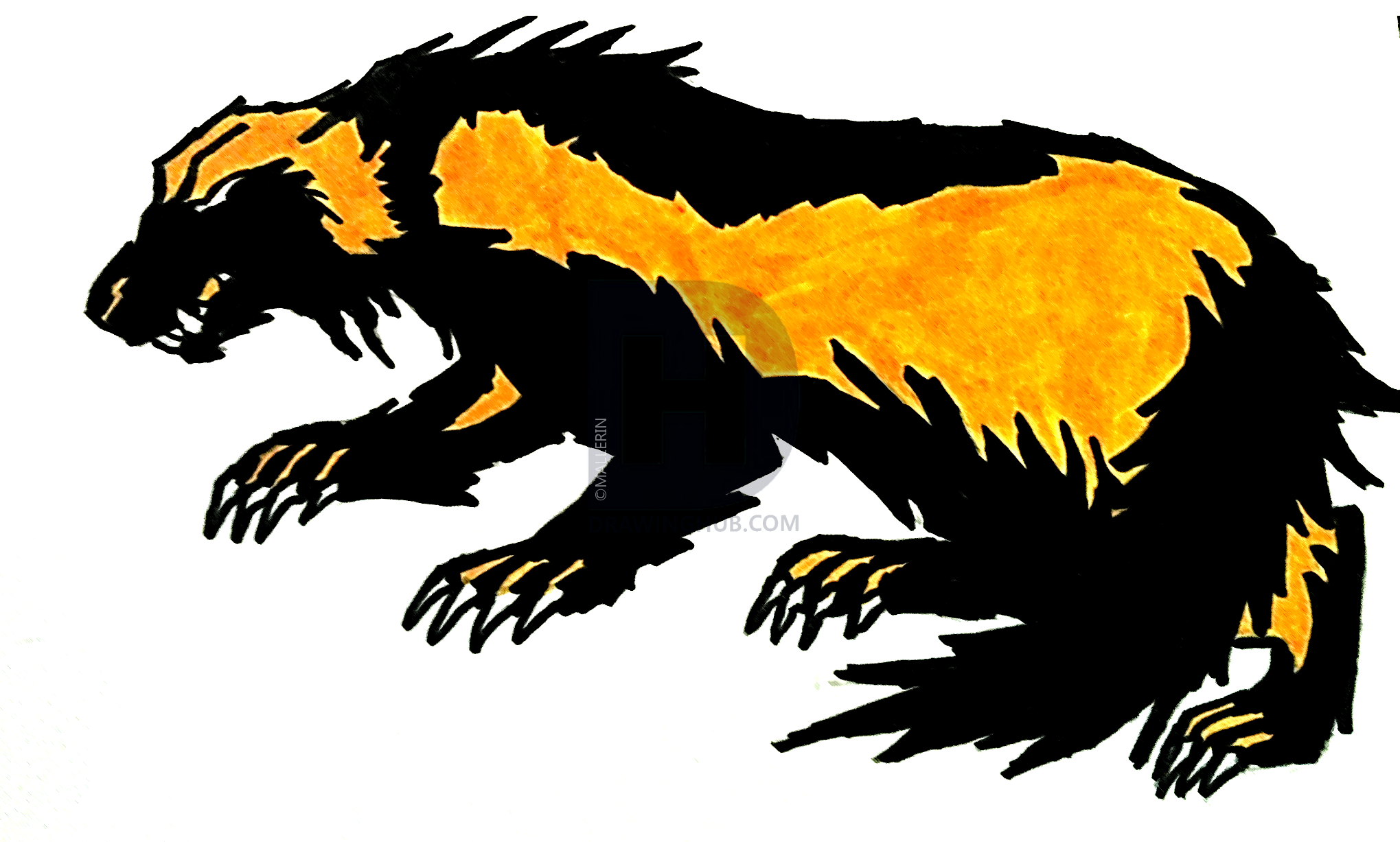 Wolverine Animal Drawing Free download on ClipArtMag