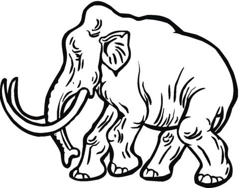 Wooly Mammoth Drawing | Free download on ClipArtMag