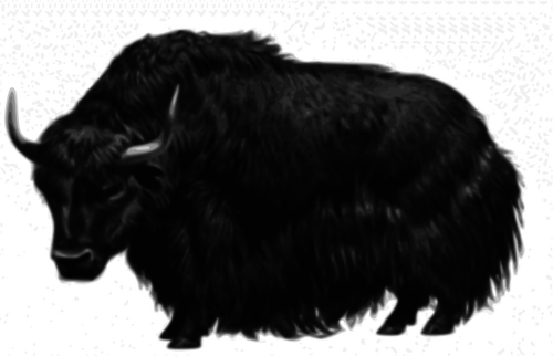 Yak Drawing | Free download on ClipArtMag
