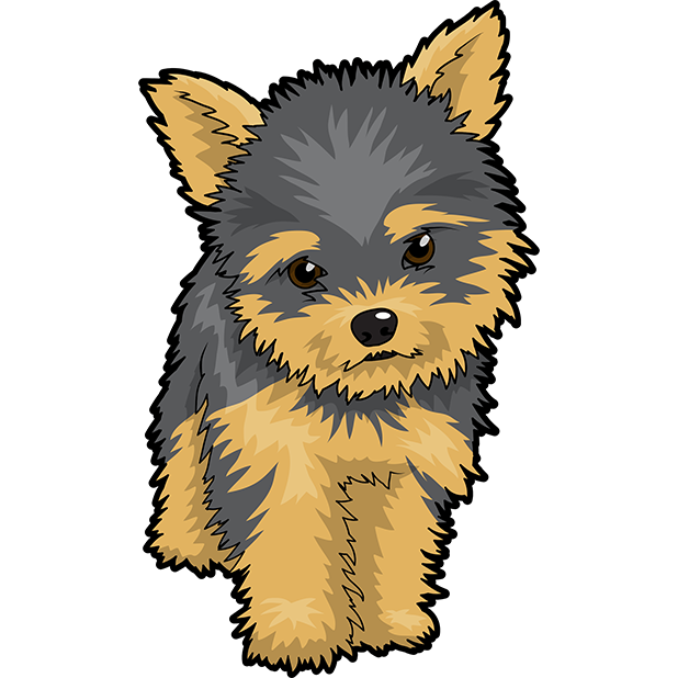 Yorkie Drawing | Free download on ClipArtMag