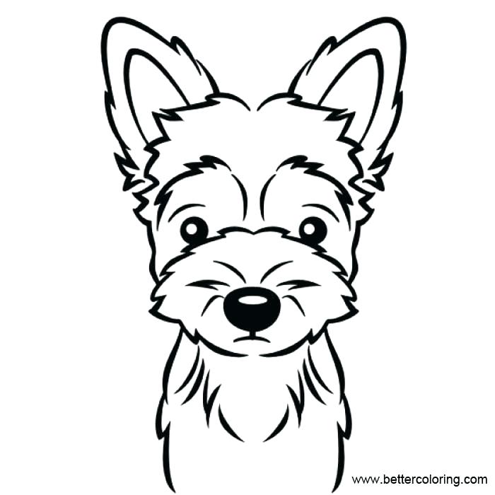 Collection of Yorkie clipart | Free download best Yorkie ...
