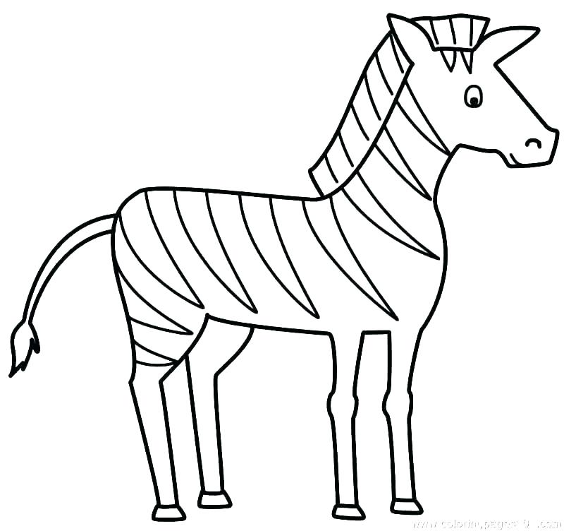 Zebra Drawing For Kid | Free download on ClipArtMag