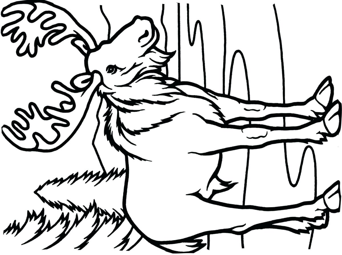 8th Grade Work Coloring Pages Learny Kids