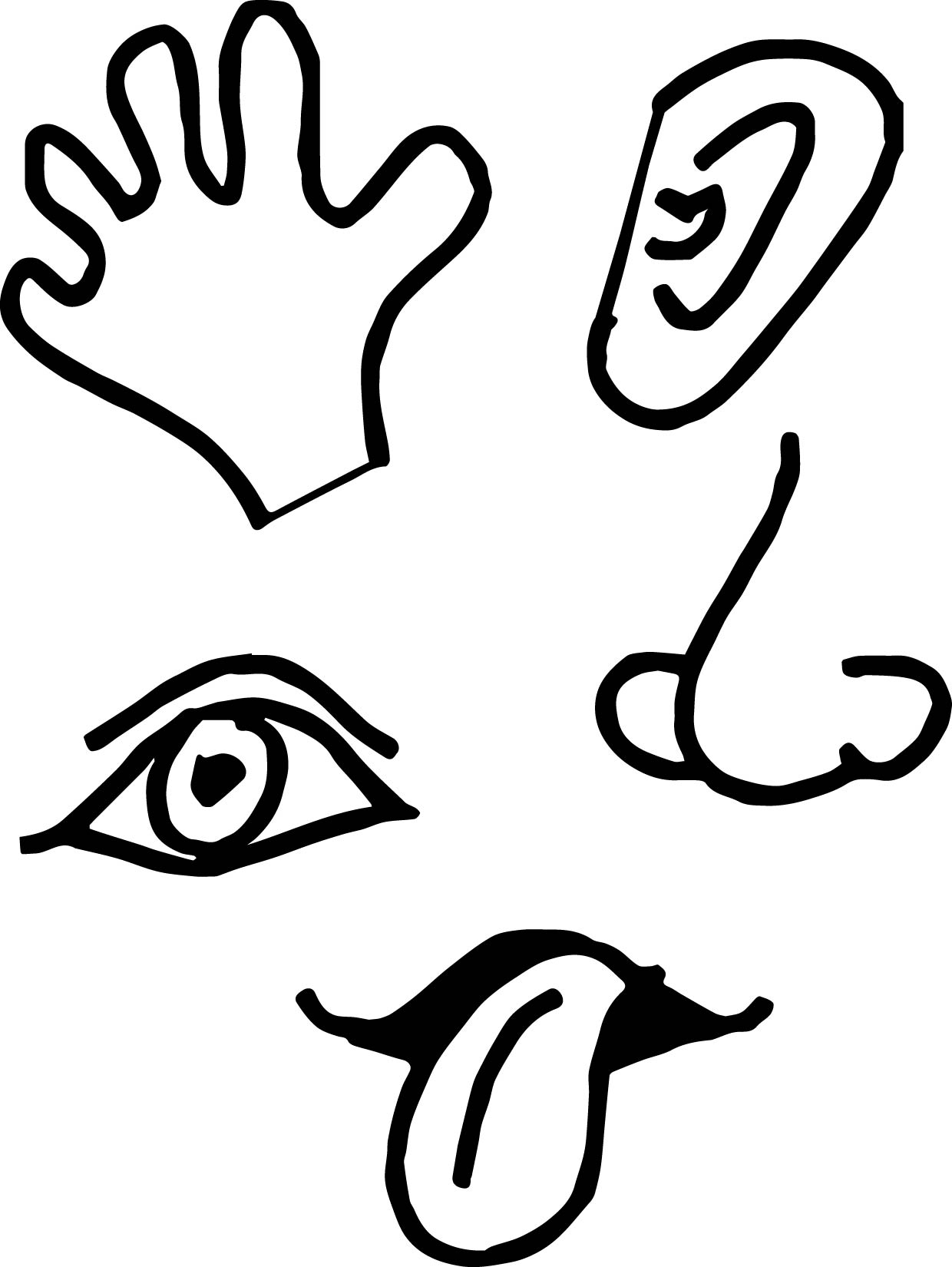 5-senses-coloring-pages-free