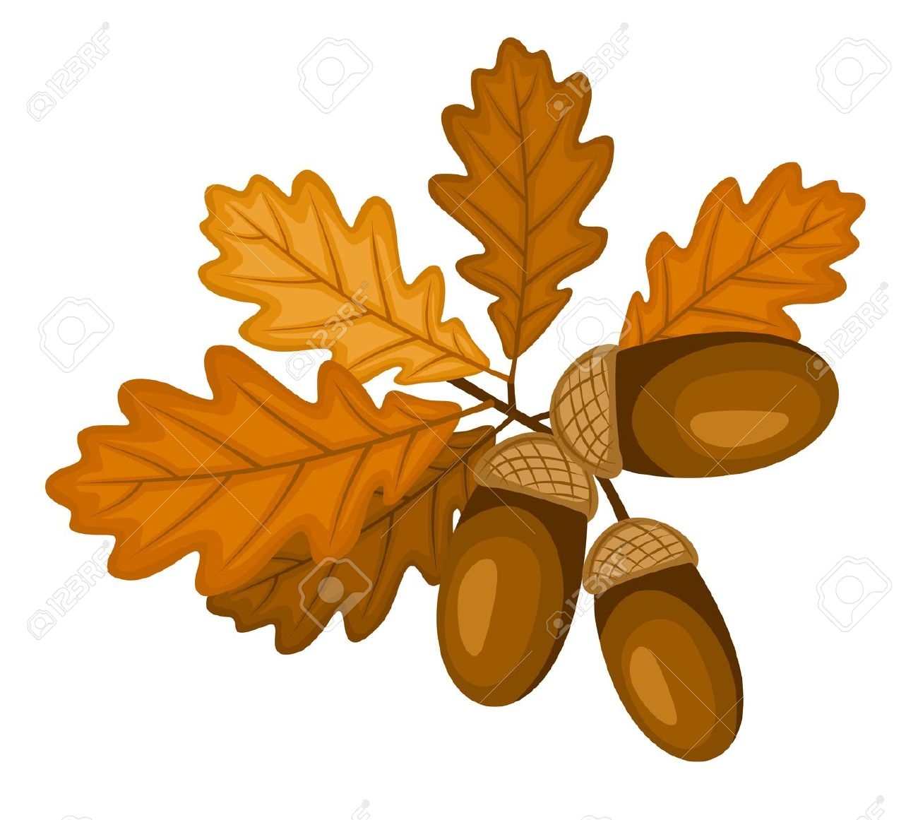 Collection of Chestnut clipart | Free download best Chestnut clipart on