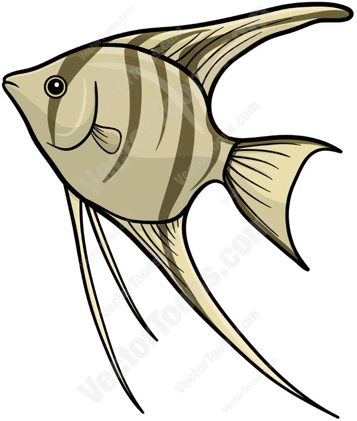 Angel Fish Clipart | Free download on ClipArtMag