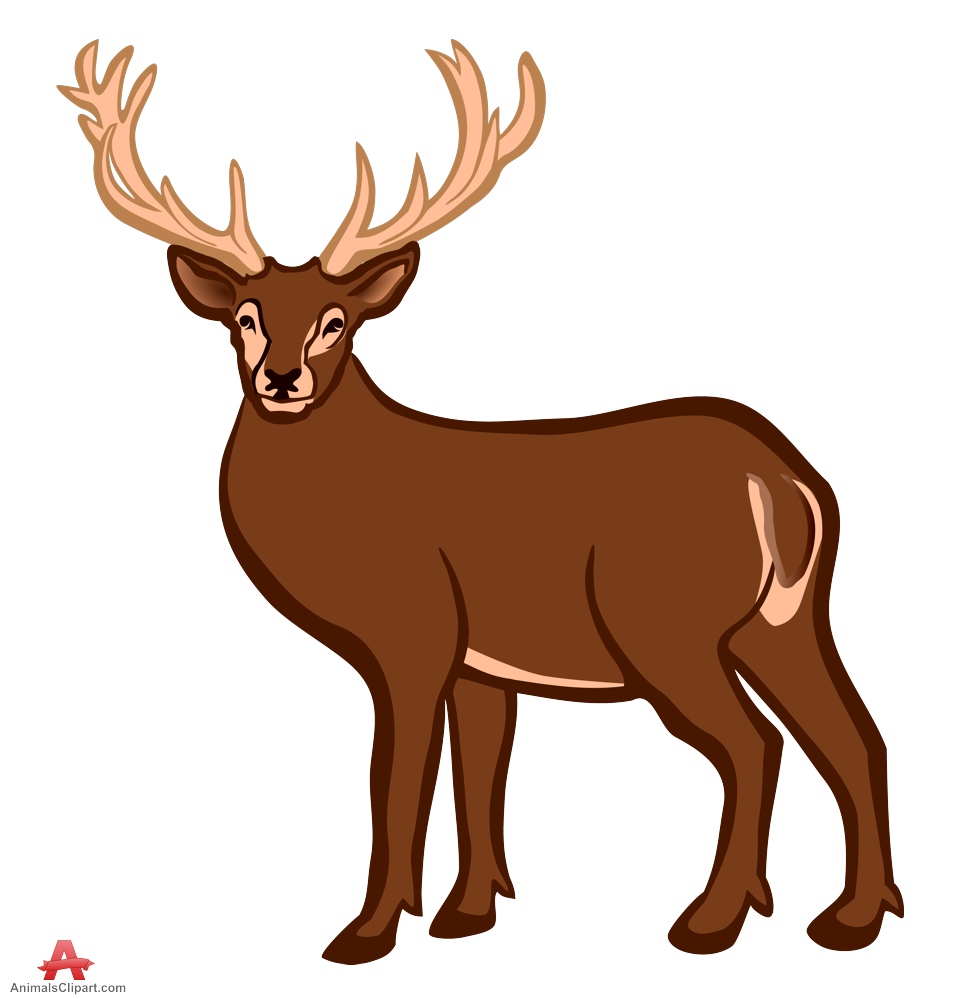 Animal Clipart To Color | Free download on ClipArtMag