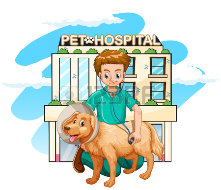 Animal Hospital Clipart | Free download on ClipArtMag