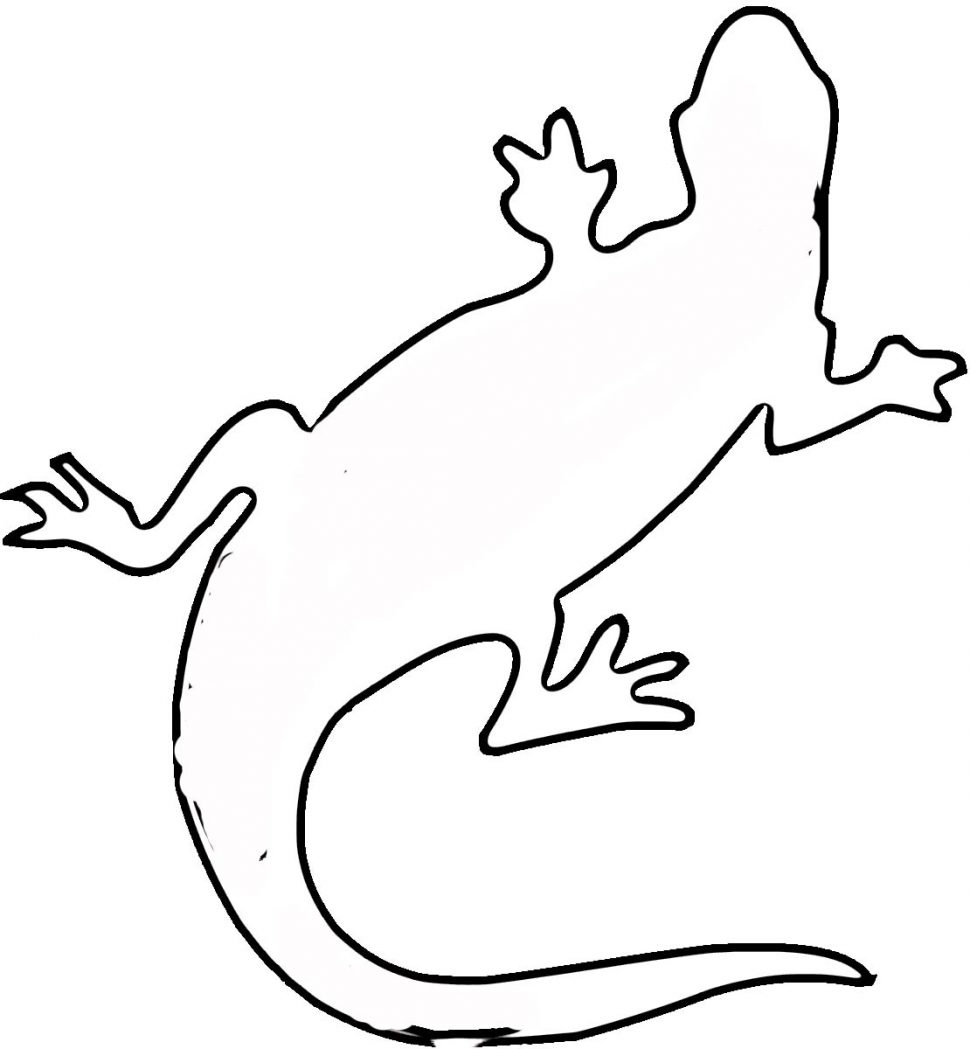 animal-outlines-free-download-on-clipartmag