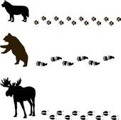 Animal Tracks Clipart | Free download on ClipArtMag
