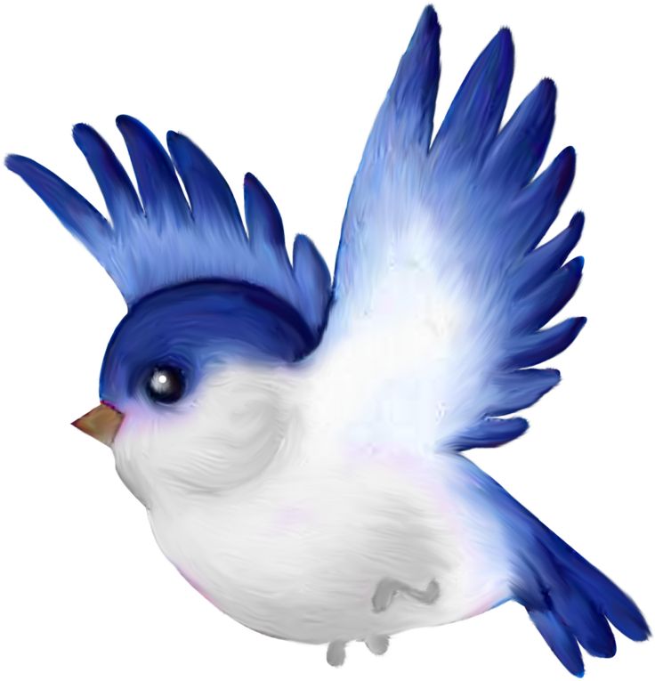 Animated Bird Clipart | Free download on ClipArtMag