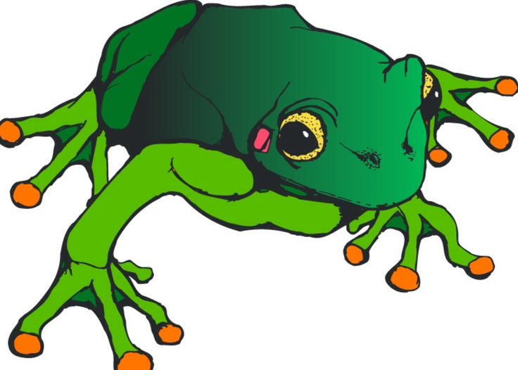 Animated Frogs Images 