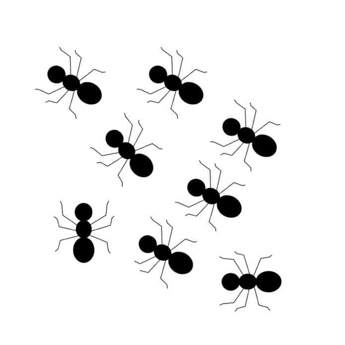 Ant Clipart Black And White Free Download On ClipArtMag