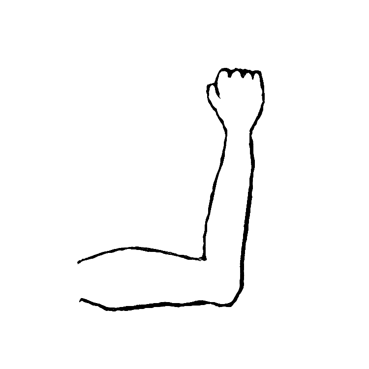 Arm Flexing Clipart | Free download on ClipArtMag