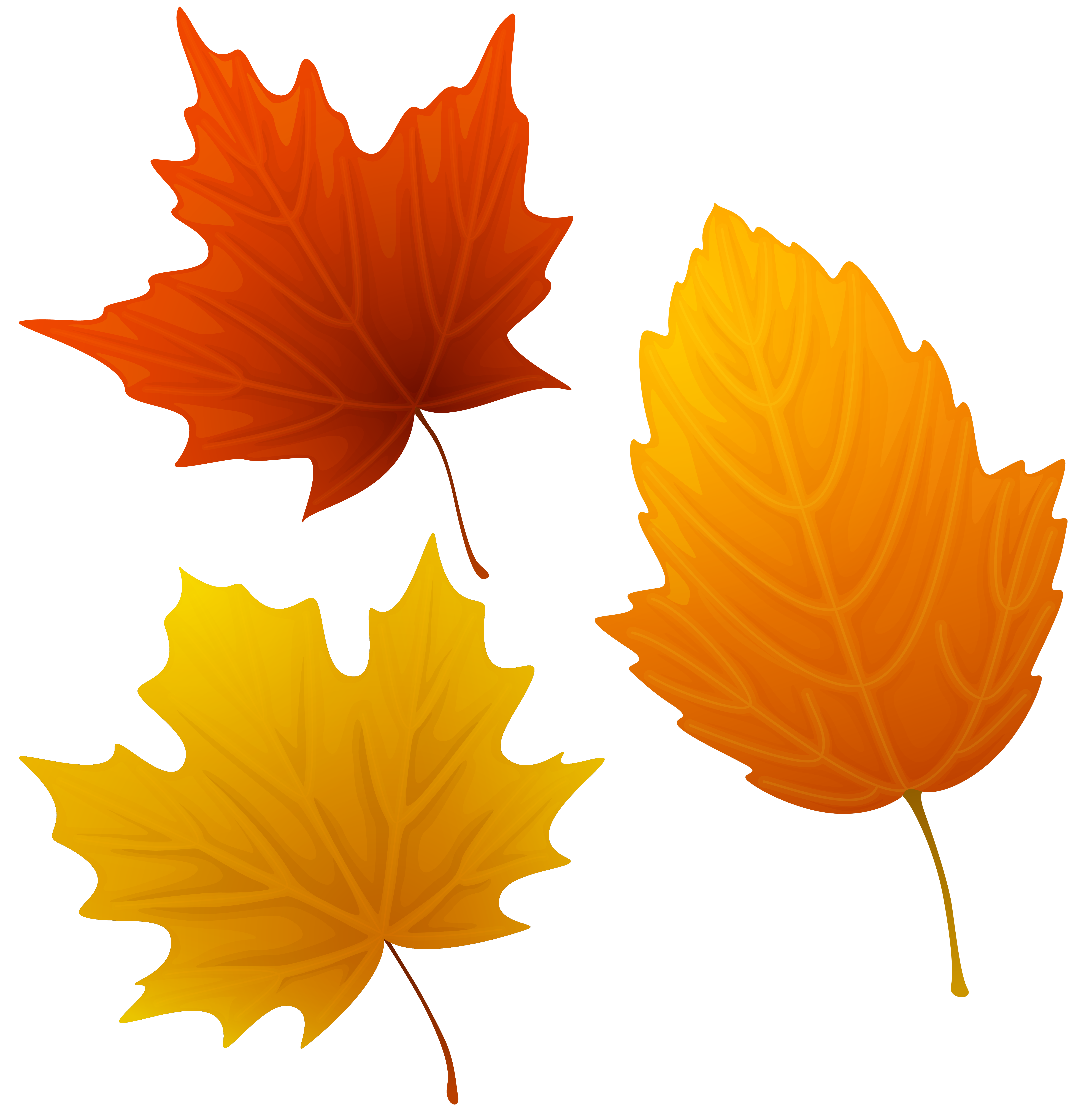 Autumn Leaf Clipart | Free download on ClipArtMag