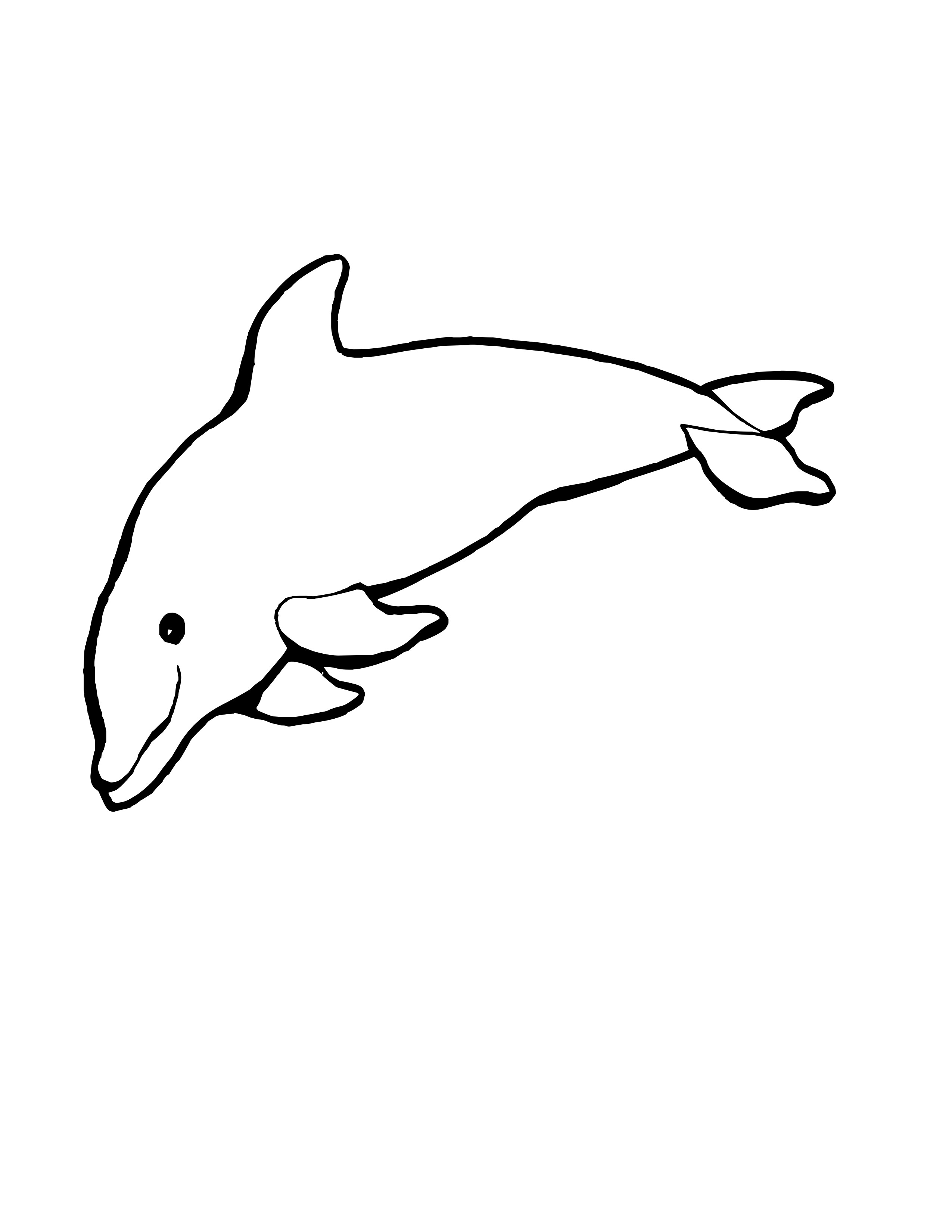 Baby Dolphin Coloring Pages | Free download on ClipArtMag