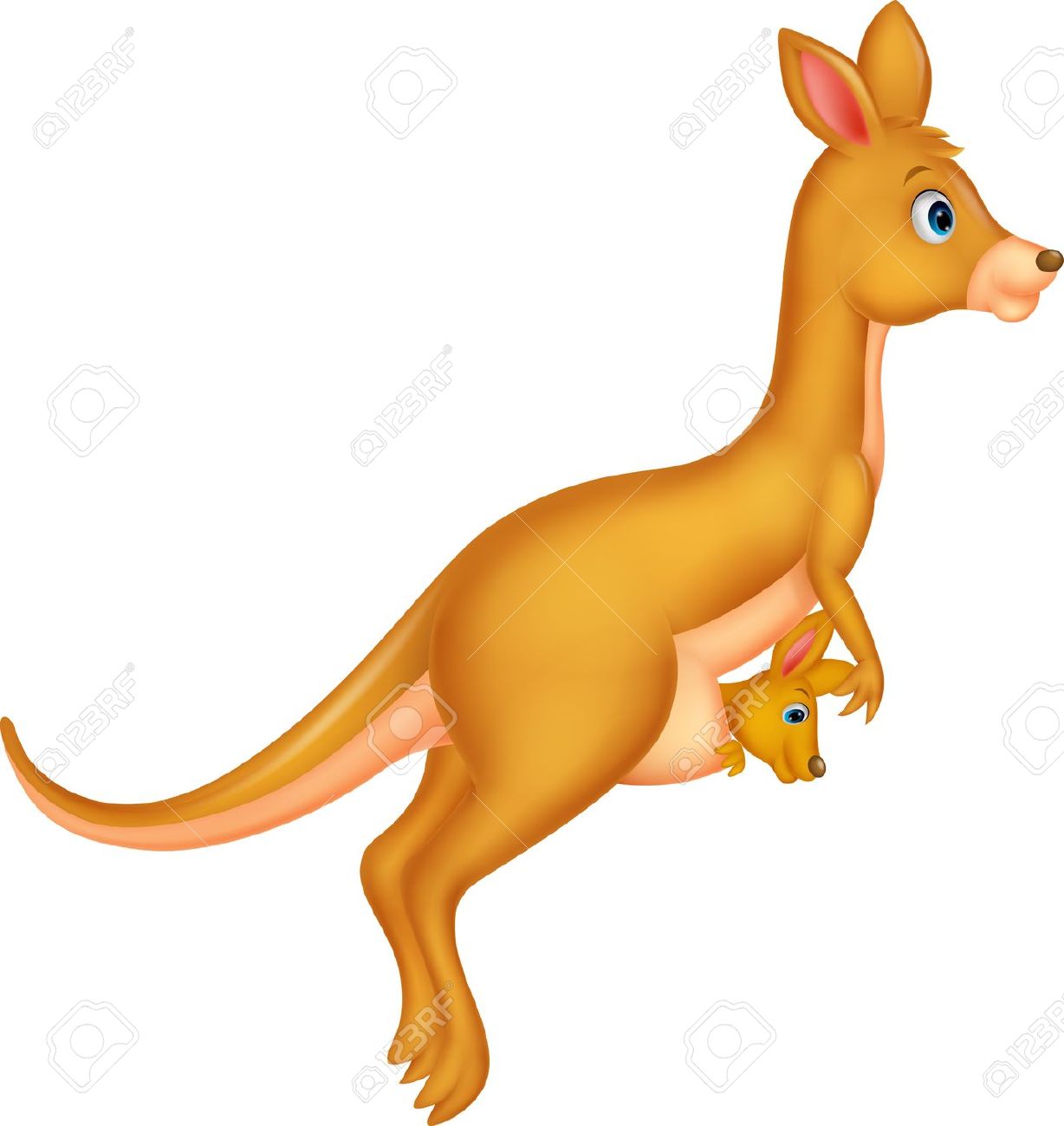 baby kangaroo clipart