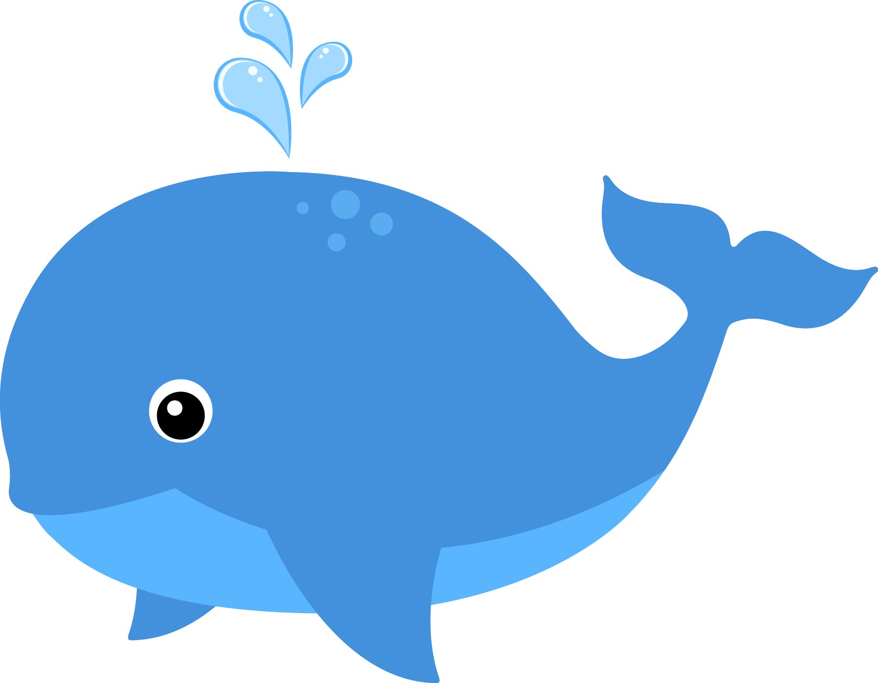 Baby Whale Clipart Free download on ClipArtMag