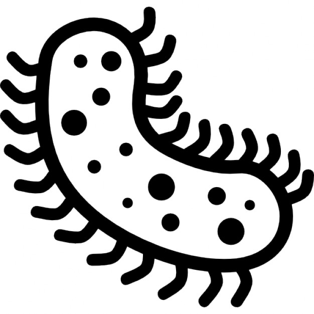 Bacteria Clipart Free Free Download On Clipartmag