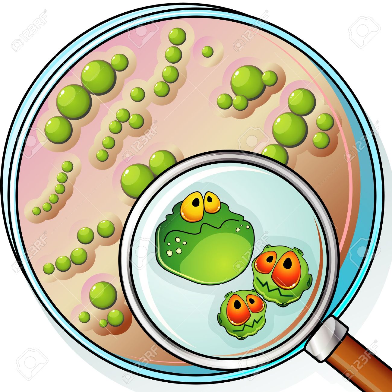 Bacteria Clipart Free Free Download On Clipartmag