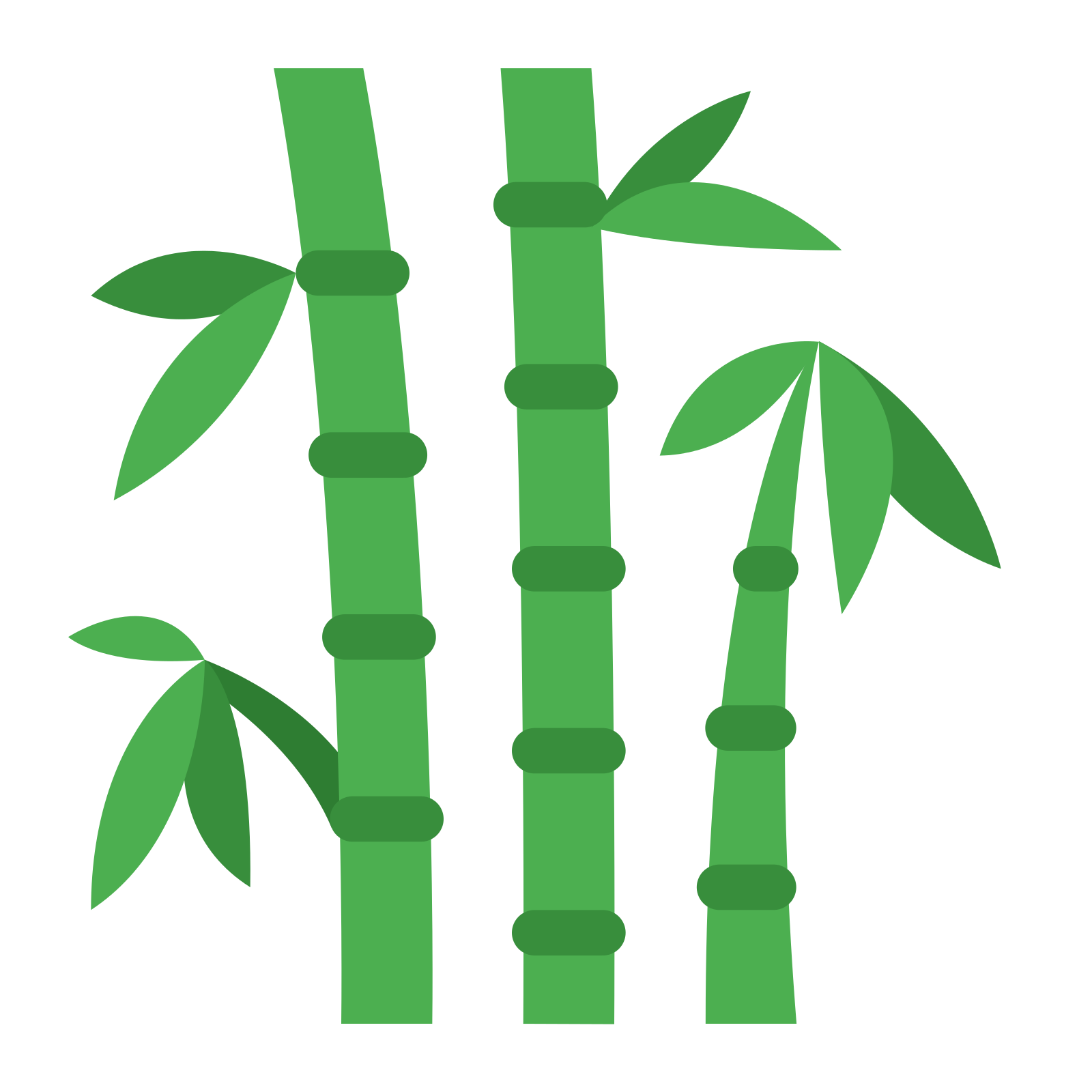 Bamboo Clipart 