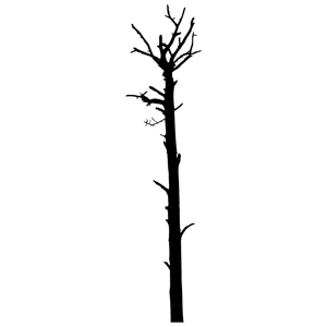 Bare Tree Clipart Black And White | Free download on ...