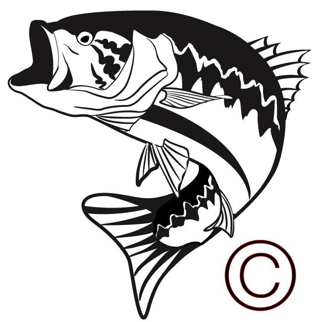 Download Bass Fish Clipart | Free download on ClipArtMag