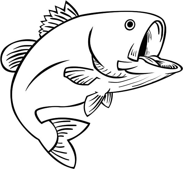 Bass Fish Clipart Black And White Free download on