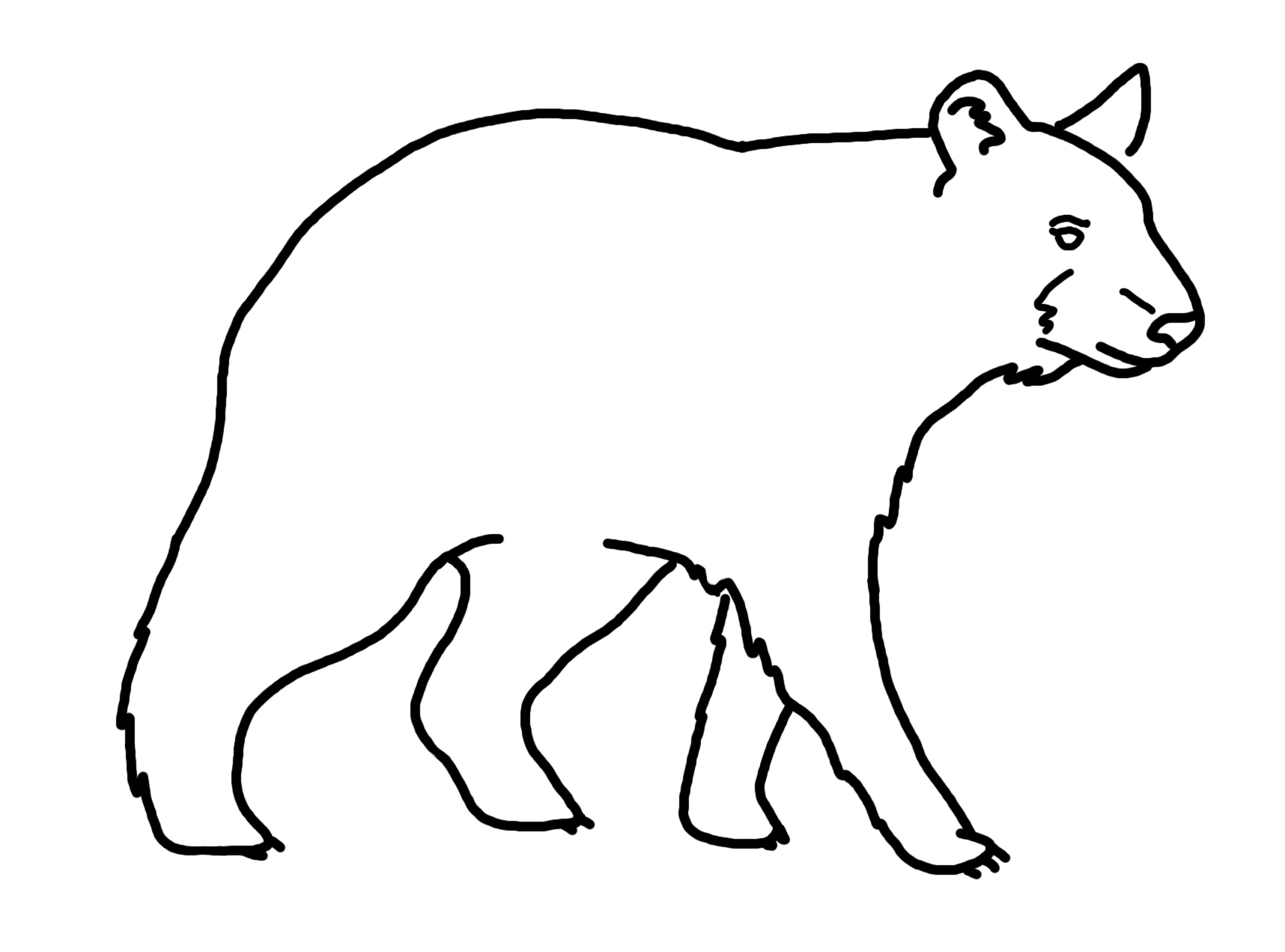 Bear Drawing | Free download on ClipArtMag