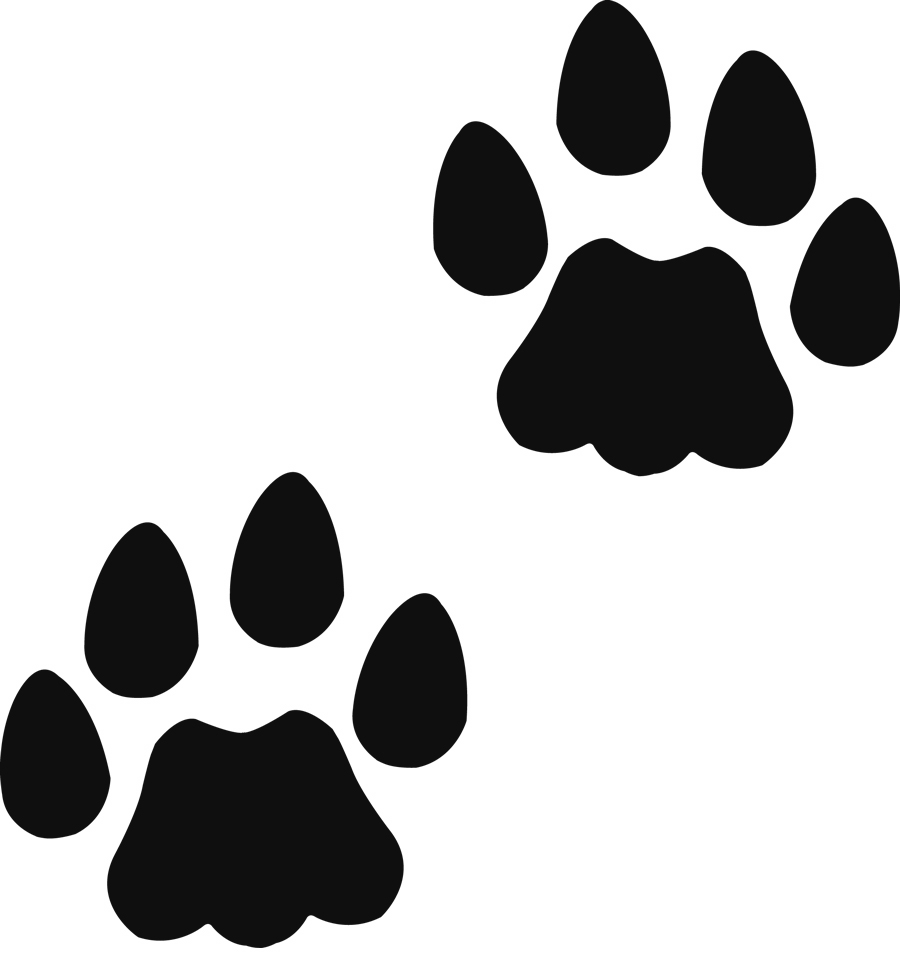 Bear Footprint Clipart Free download on ClipArtMag