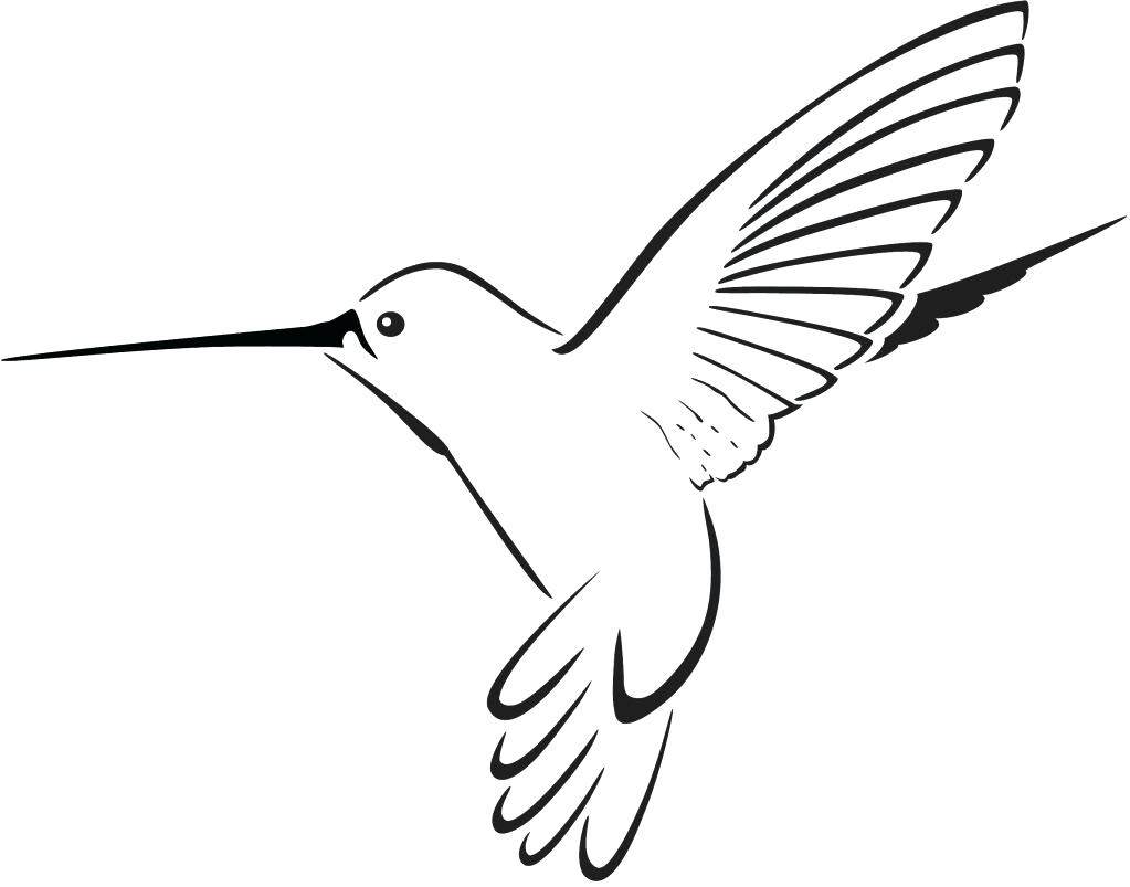 bird-clipart-outline-free-download-on-clipartmag