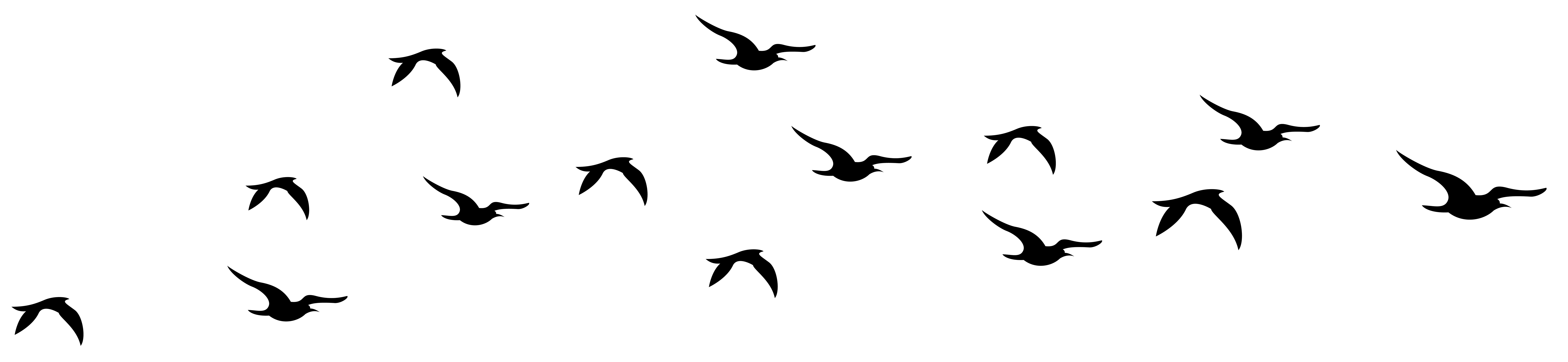 Bird Clipart Png Free download on ClipArtMag