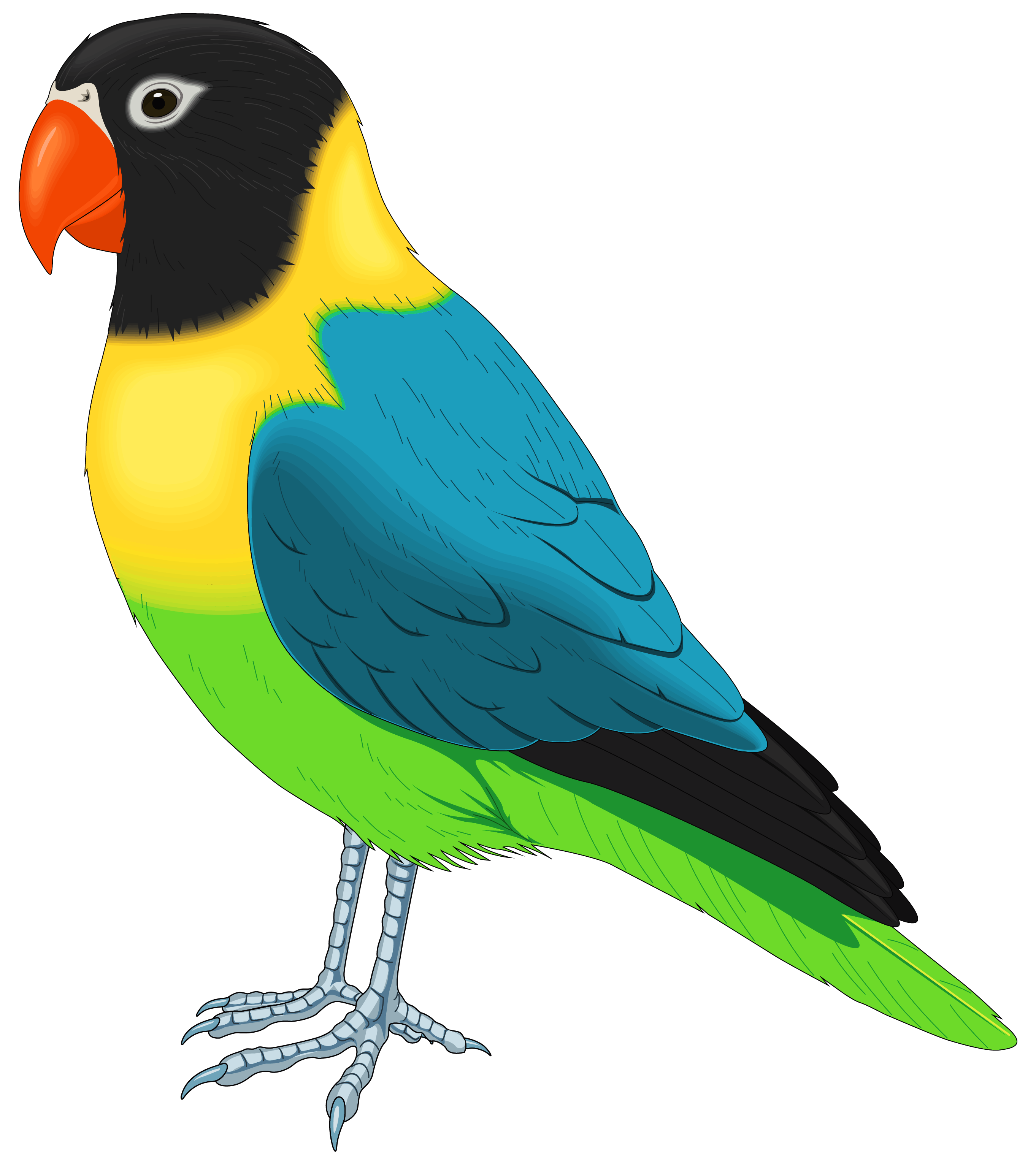 Bird Clipart Png | Free download on ClipArtMag