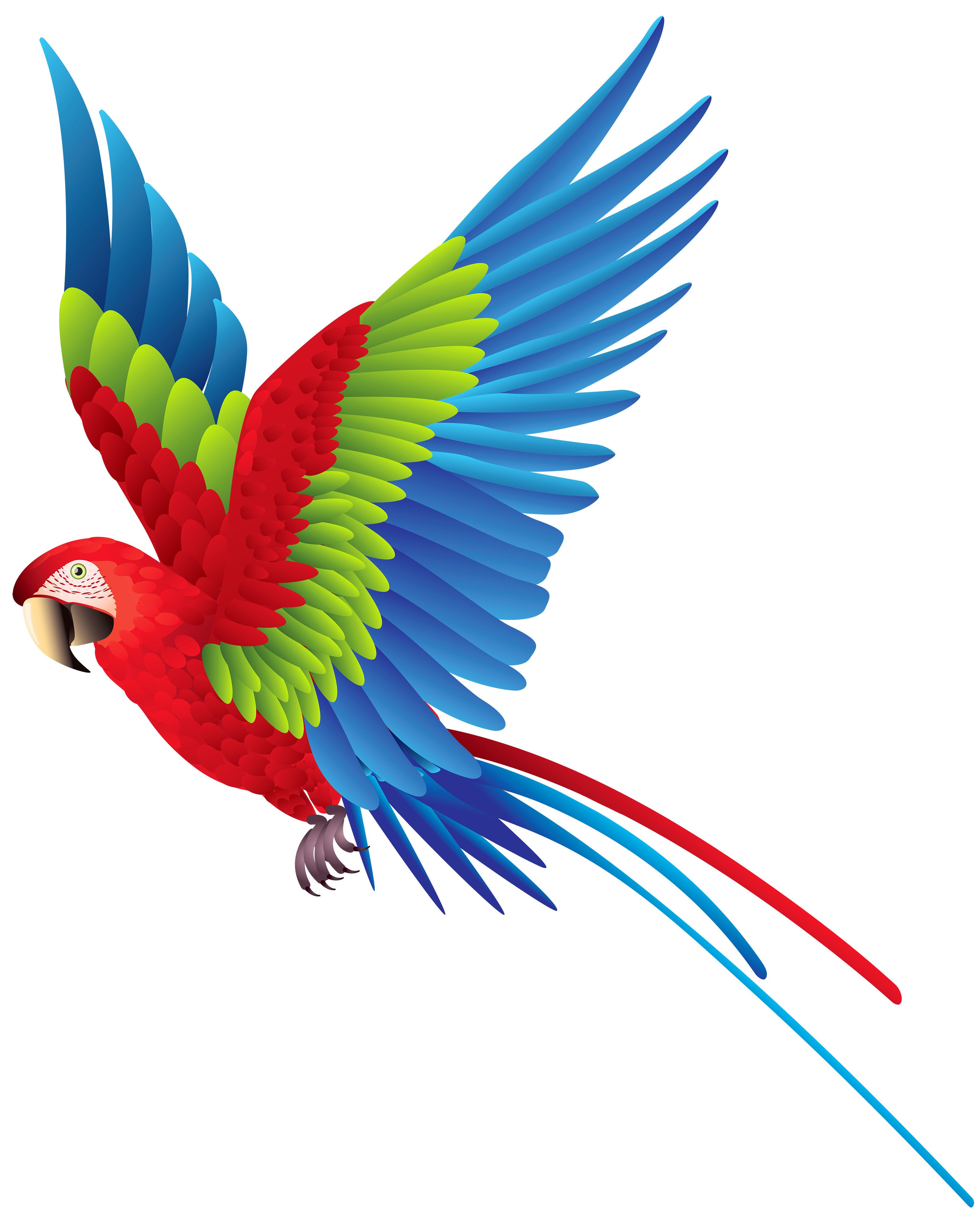 Bird Clipart Transparent Background Free download on ClipArtMag