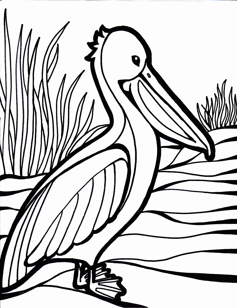 bird-coloring-pages-free-download-on-clipartmag
