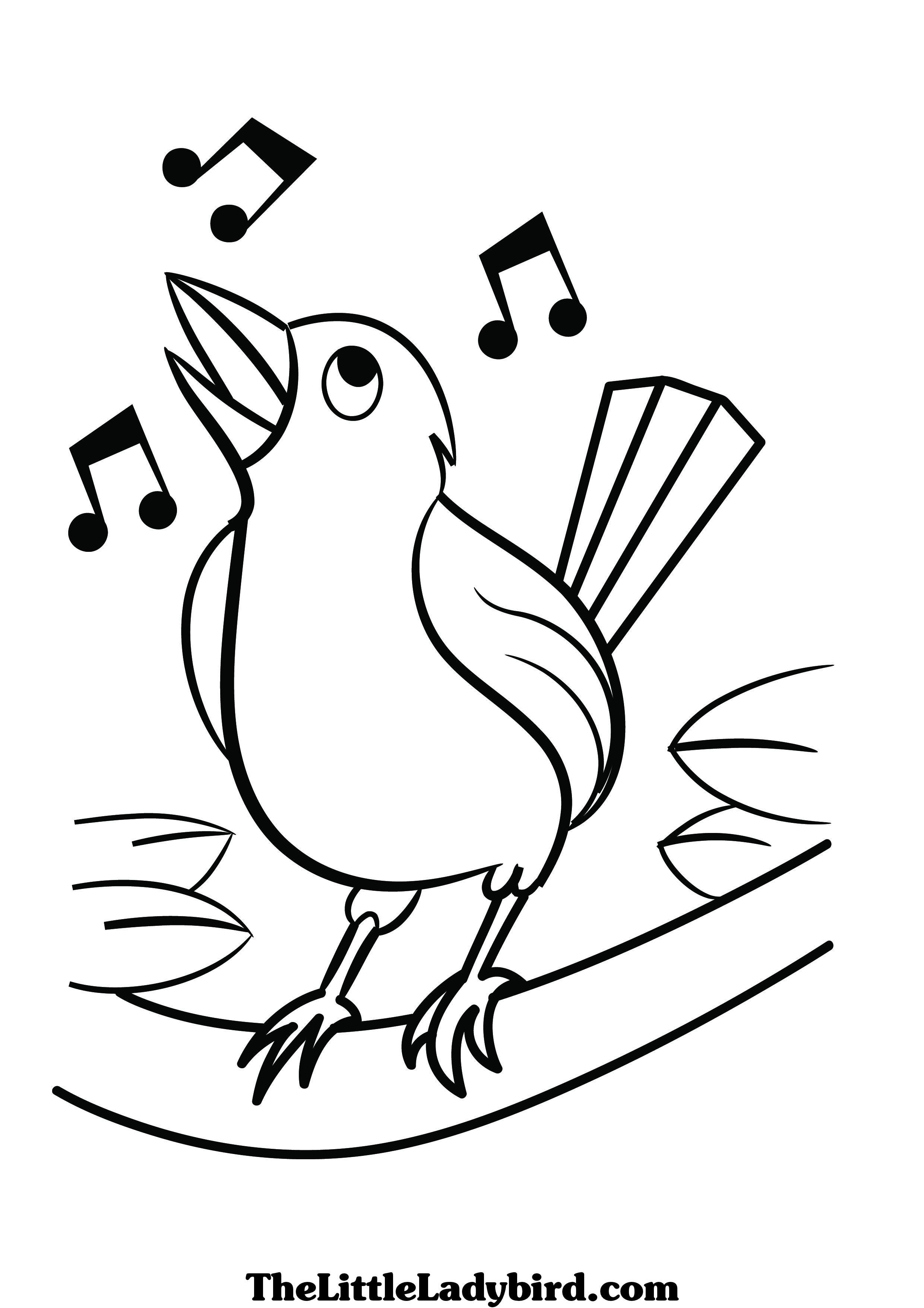 Bird Coloring Pages | Free download on ClipArtMag