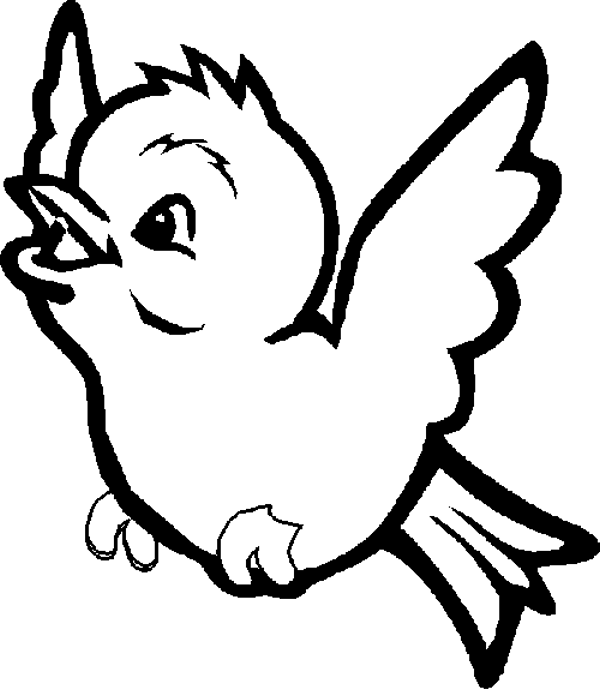 bird-coloring-pages-free-download-on-clipartmag