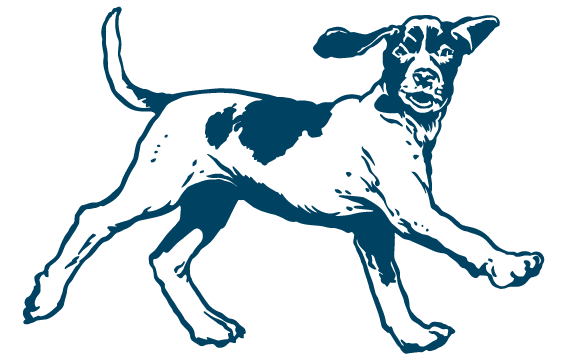 Bird Dog Clipart | Free download on ClipArtMag