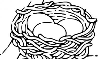 Bird Nest Clipart Black And White | Free download on ClipArtMag