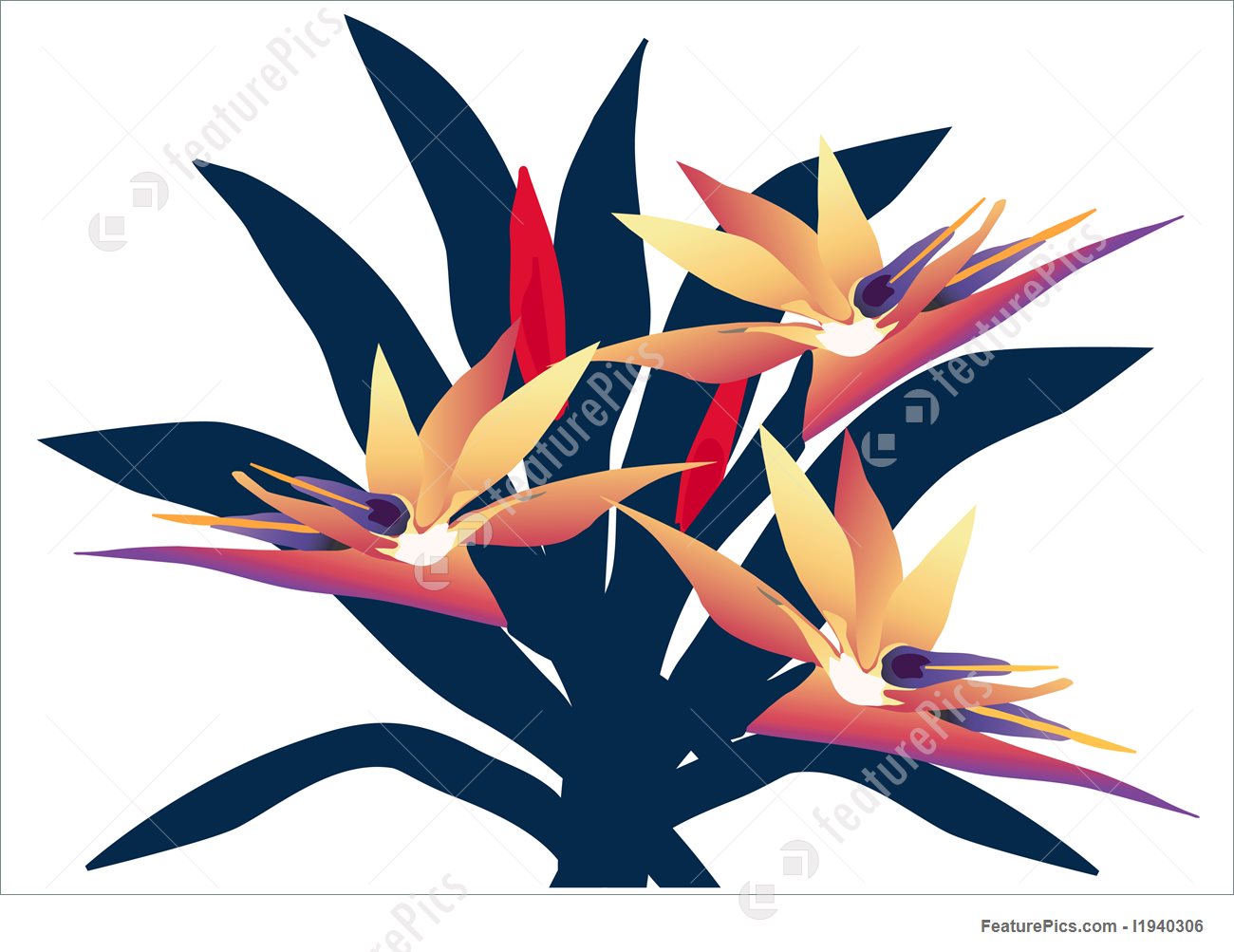 Bird Of Paradise Clipart | Free download on ClipArtMag