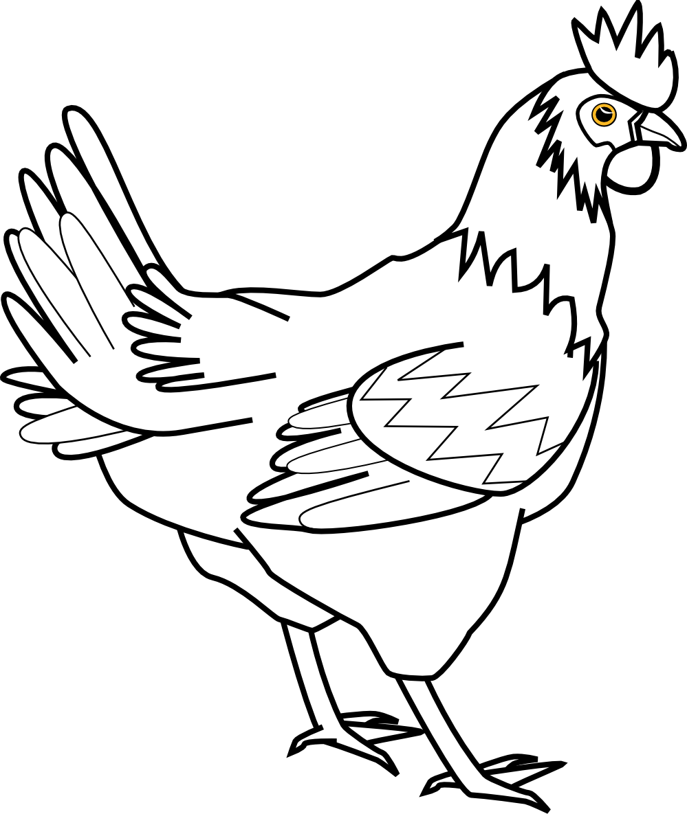 black and white chicken clipart